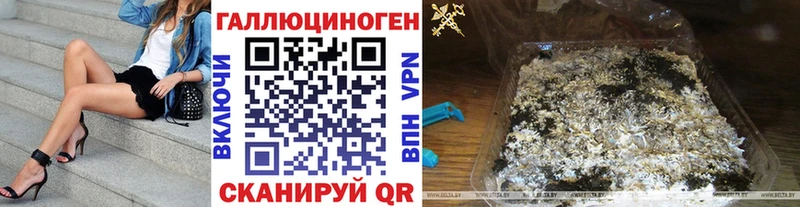 дарнет шоп  Пионерский  Псилоцибиновые грибы MAGIC MUSHROOMS 